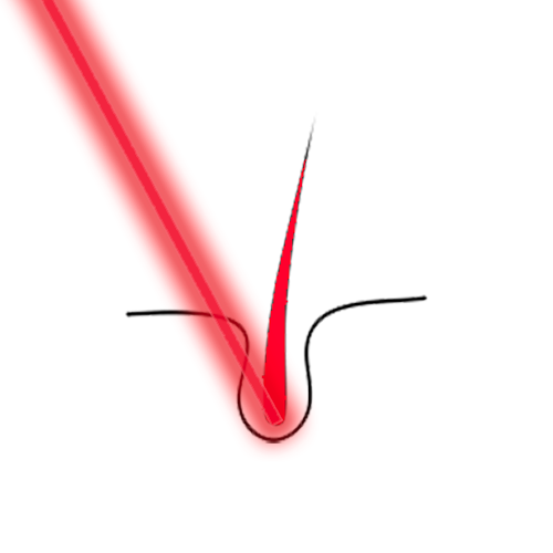 Laser Hair Removal The Laser Studio