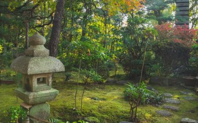 Must Thing to Do in Springfield, Missouri: Visit Mizumoto Japanese Stroll Garden