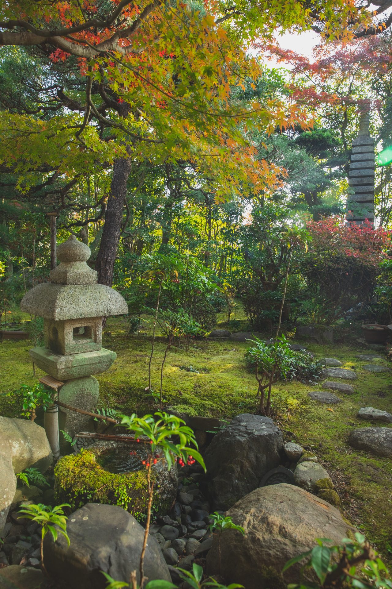 Beautiful Japanese Garden