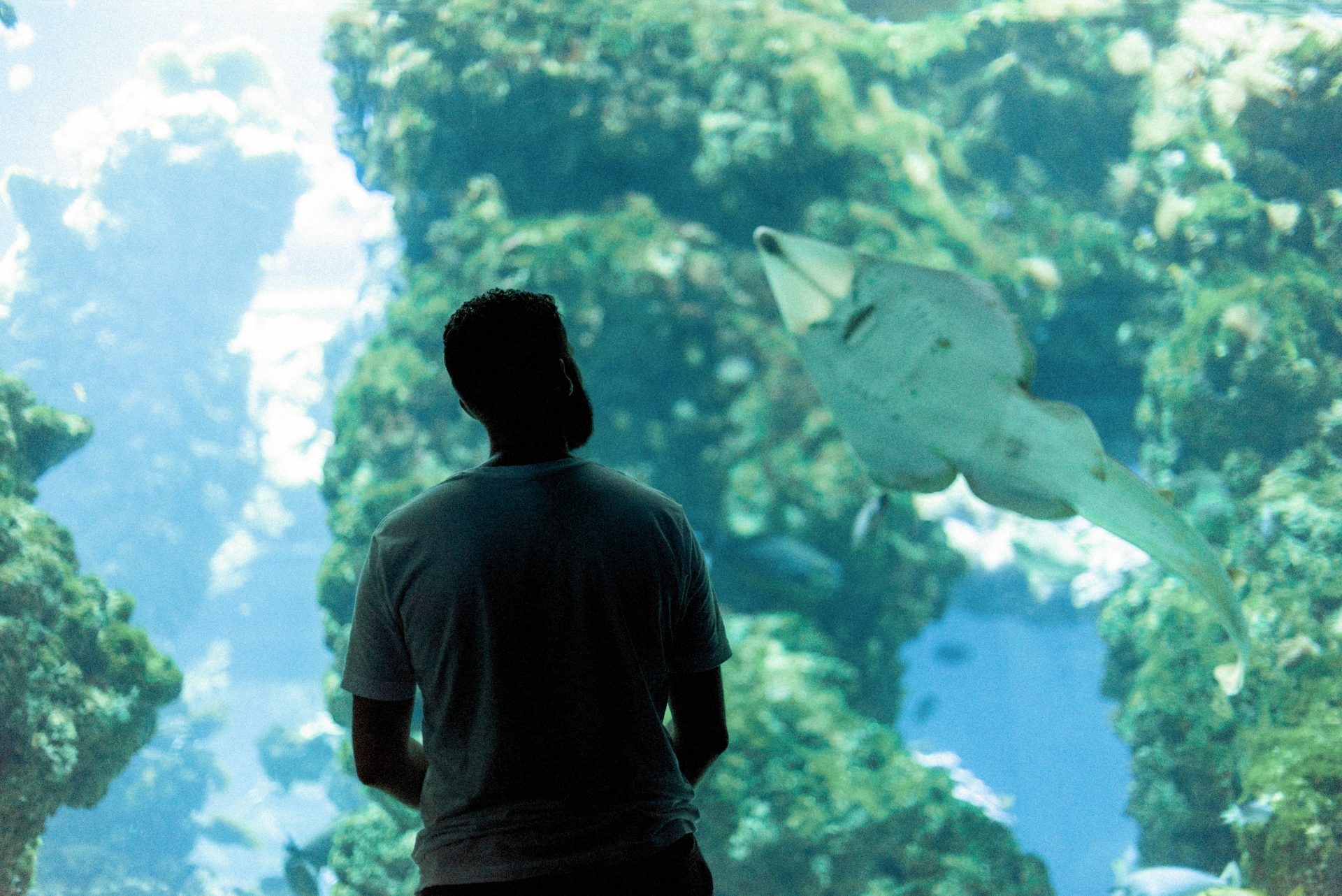 a guy exploring the oceanarium