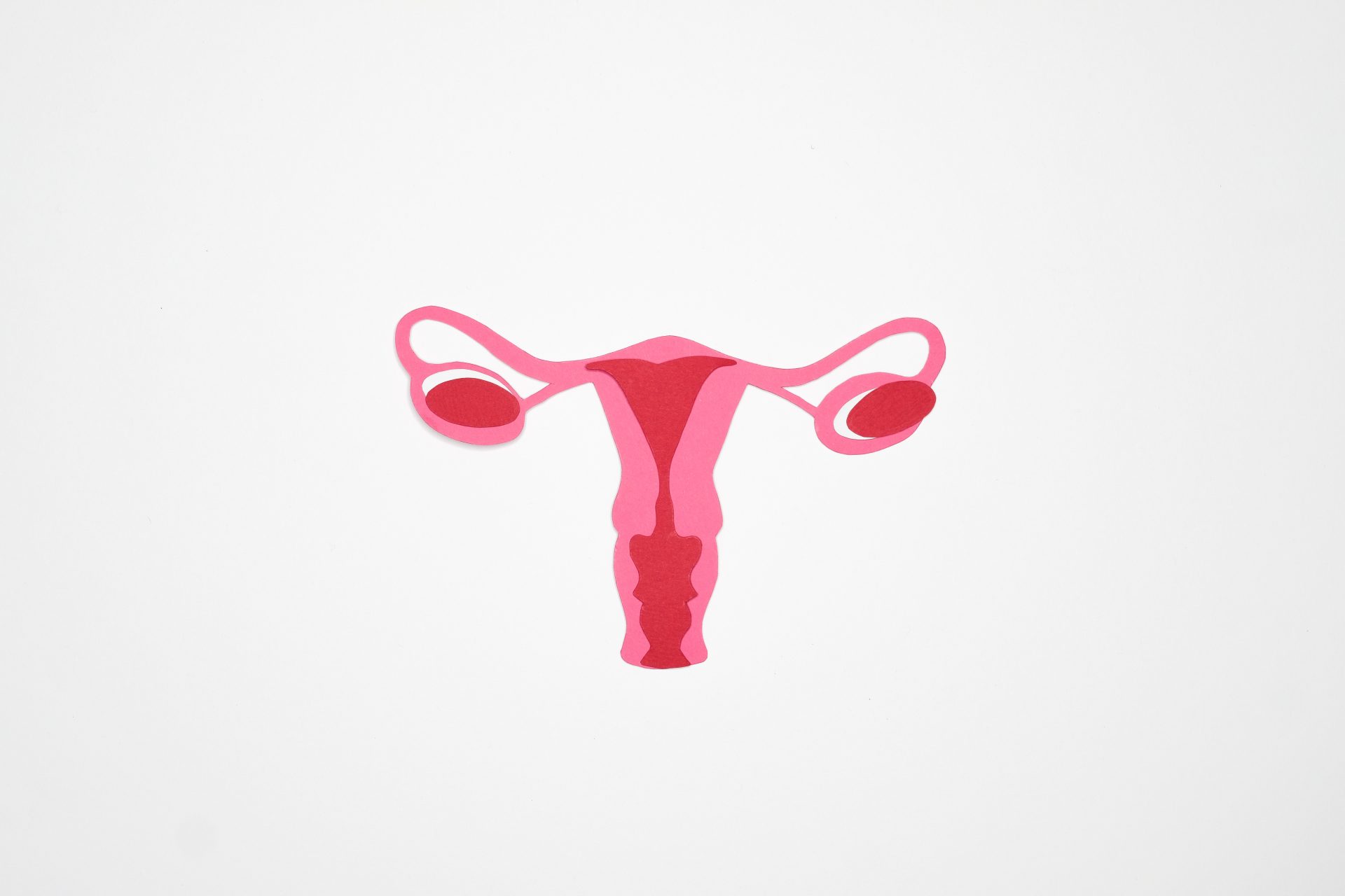 graphic art on a womans ovary
